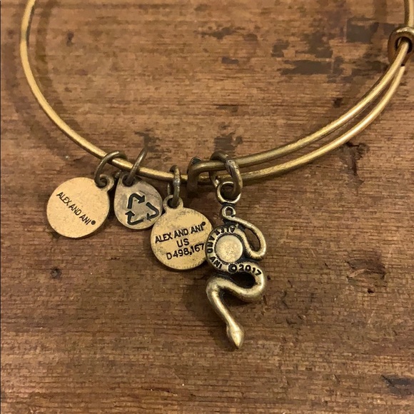 Alex and Ani Jewelry Alex And Ani Snake Bracelet Poshmark